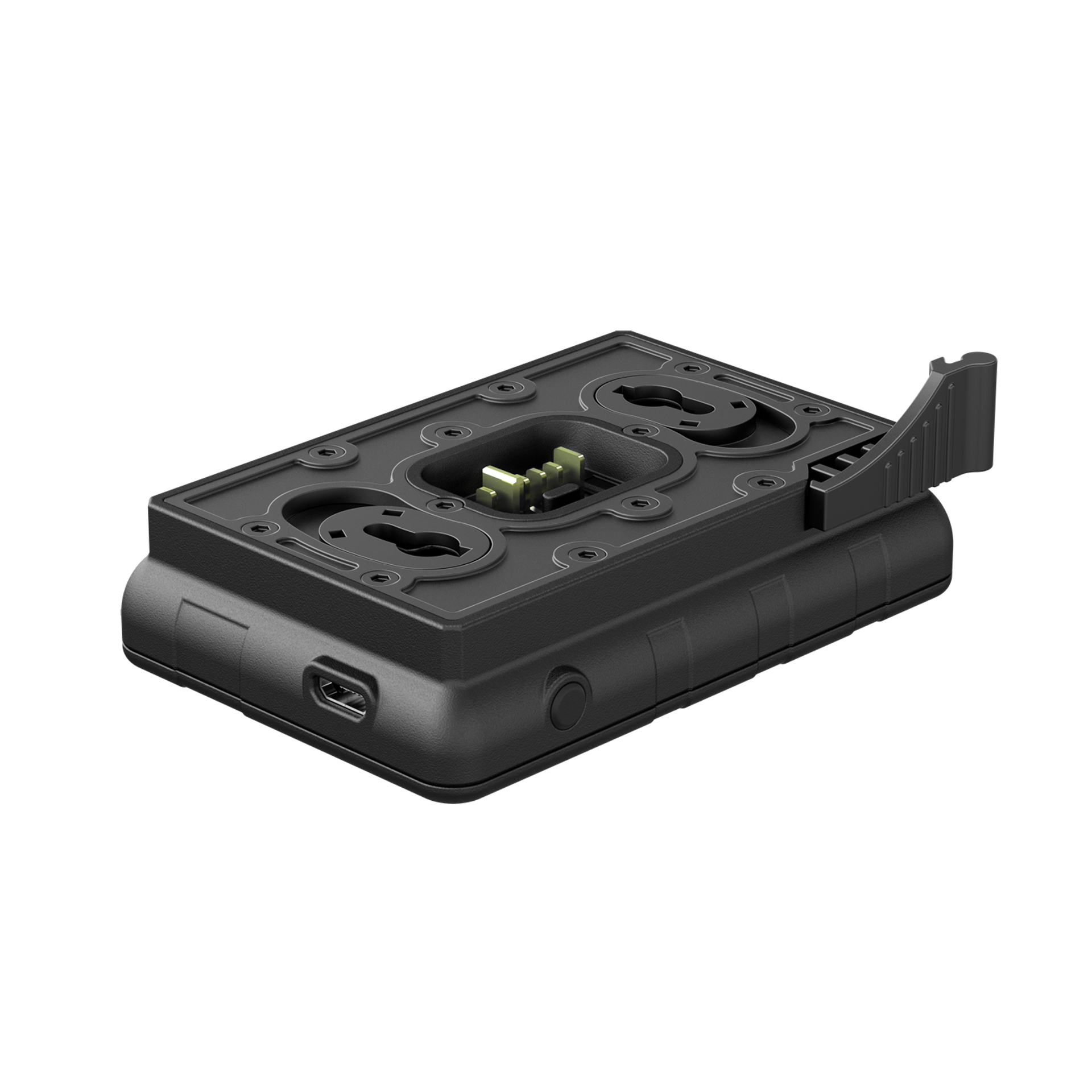 Pulsar IPS Battery Charger