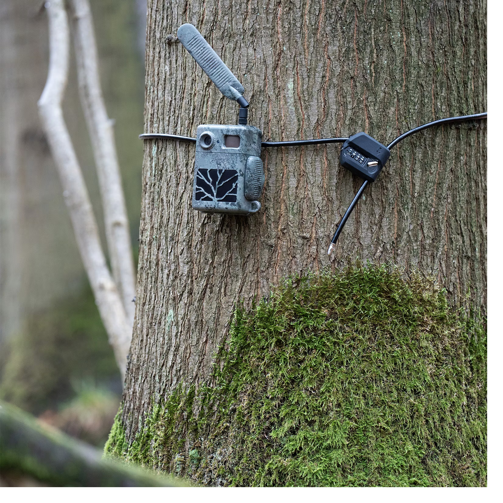 Zeiss Kabelschloss (mit Pin)